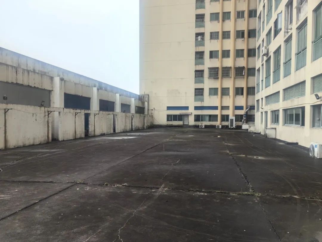 我们的家园丨640平方米体育空间！宁波这个社区闲置空地大变身