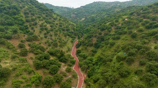 2024年民生实事回眸文体惠民“点亮”品质文化生活(图3)