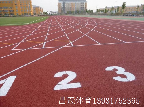 塑胶跑道厂家龙头(图2)