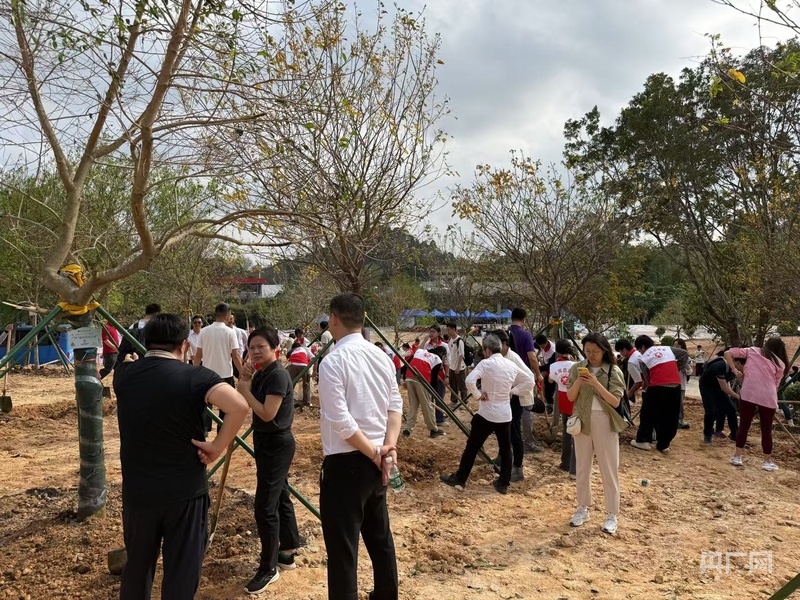 以“城市合伙人”之名为全运添“绿”(图3)