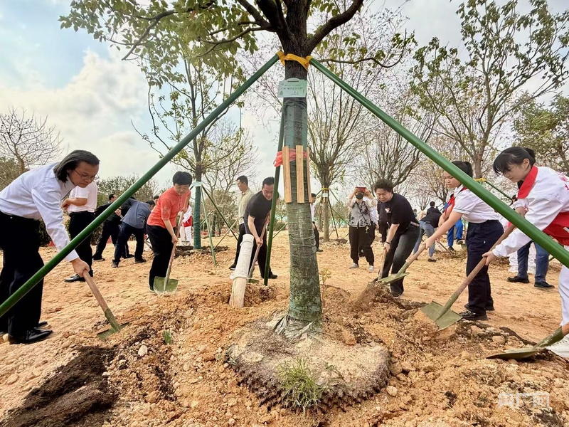 以“城市合伙人”之名为全运添“绿”(图2)