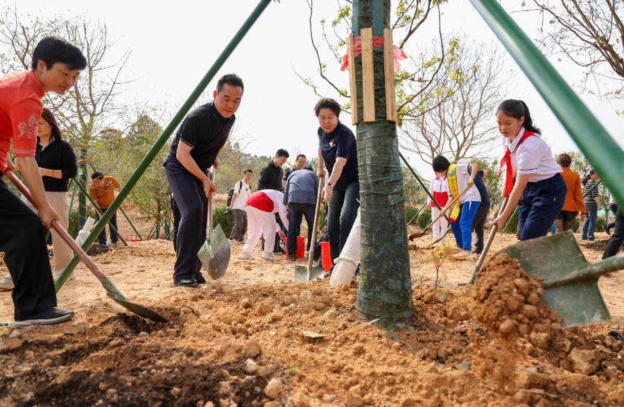 为全运添绿！广州赛区新增绿化面积153万平方米“城市合伙人”推动城企可持续发展