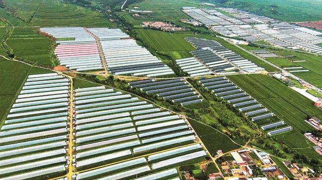 国家能源集团助力宁城县定点帮扶工作纪实(图1)