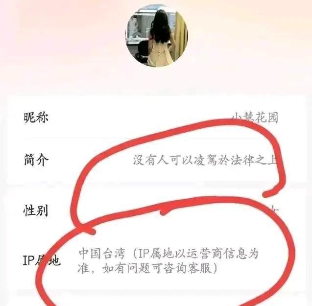 新进展！汪小菲赢了！拒不道歉的梁某诗法院对她采取限高措施了(图2)