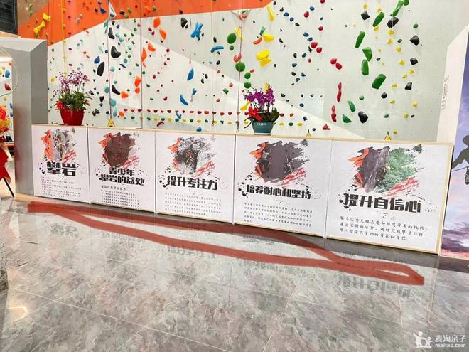 新店｜¥49起室内攀岩「顽岩攀岩」包含鞋、安全带有效期至8月底！室内让你燃完当天运动量！(图2)