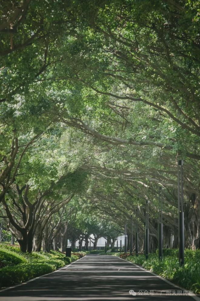 广州南天名苑(售楼处)欢迎您-南天名苑营销中心-2025广州网站(图4)