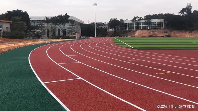 标准塑胶跑道(图1)