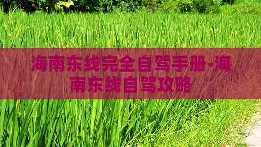 海南东线完全自驾手册-海南东线自驾攻略(图3)