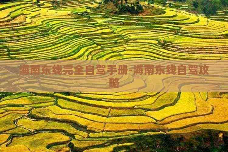 海南东线完全自驾手册-海南东线自驾攻略(图8)