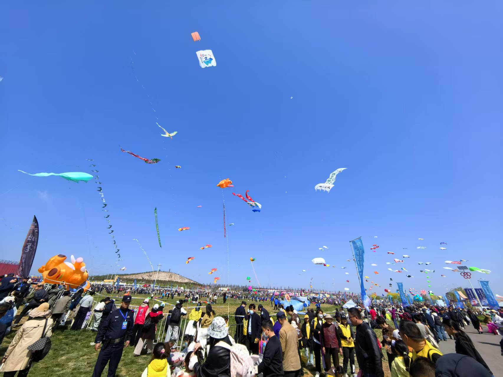 2025“春游齐鲁”服务消费季、第42届潍坊国际风筝会暨2025潍坊风筝嘉年华盛大开幕(图2)