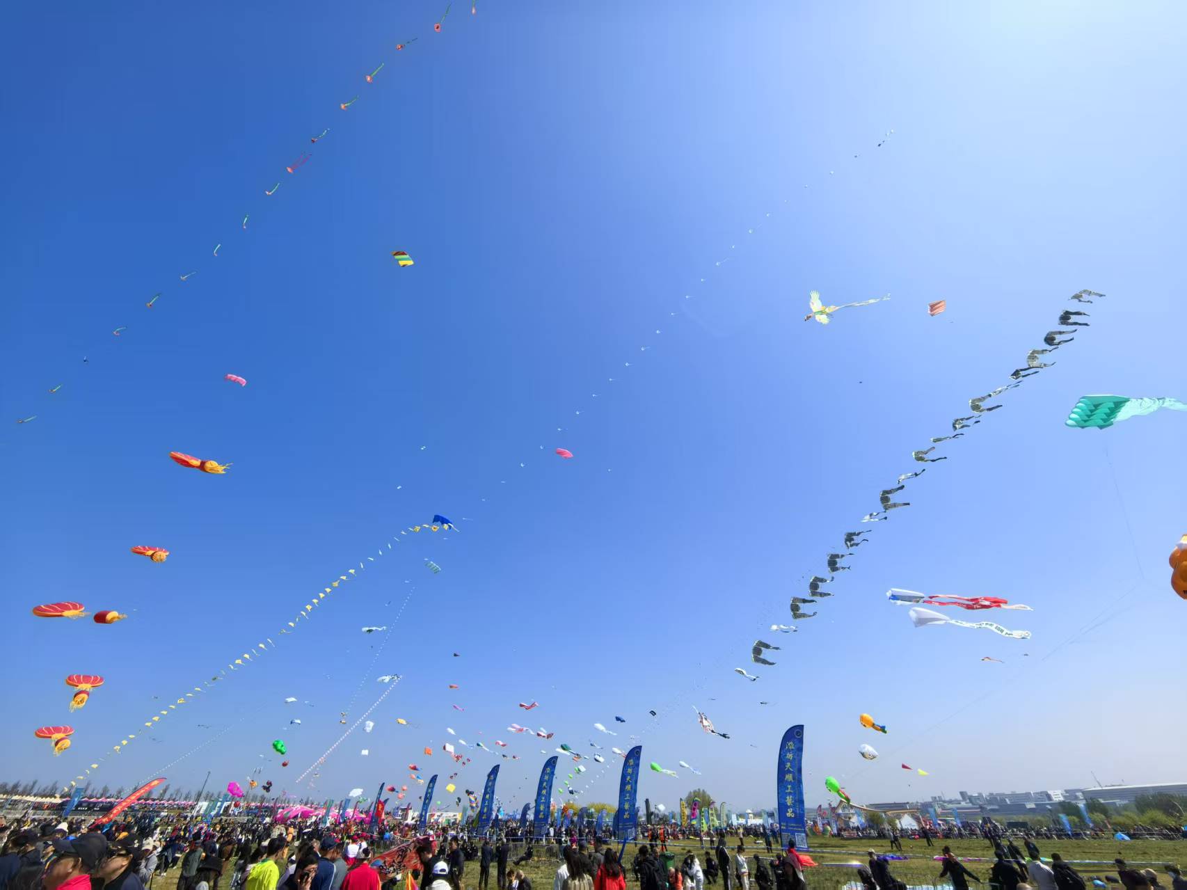 2025“春游齐鲁”服务消费季、第42届潍坊国际风筝会暨2025潍坊风筝嘉年华盛大开幕(图3)