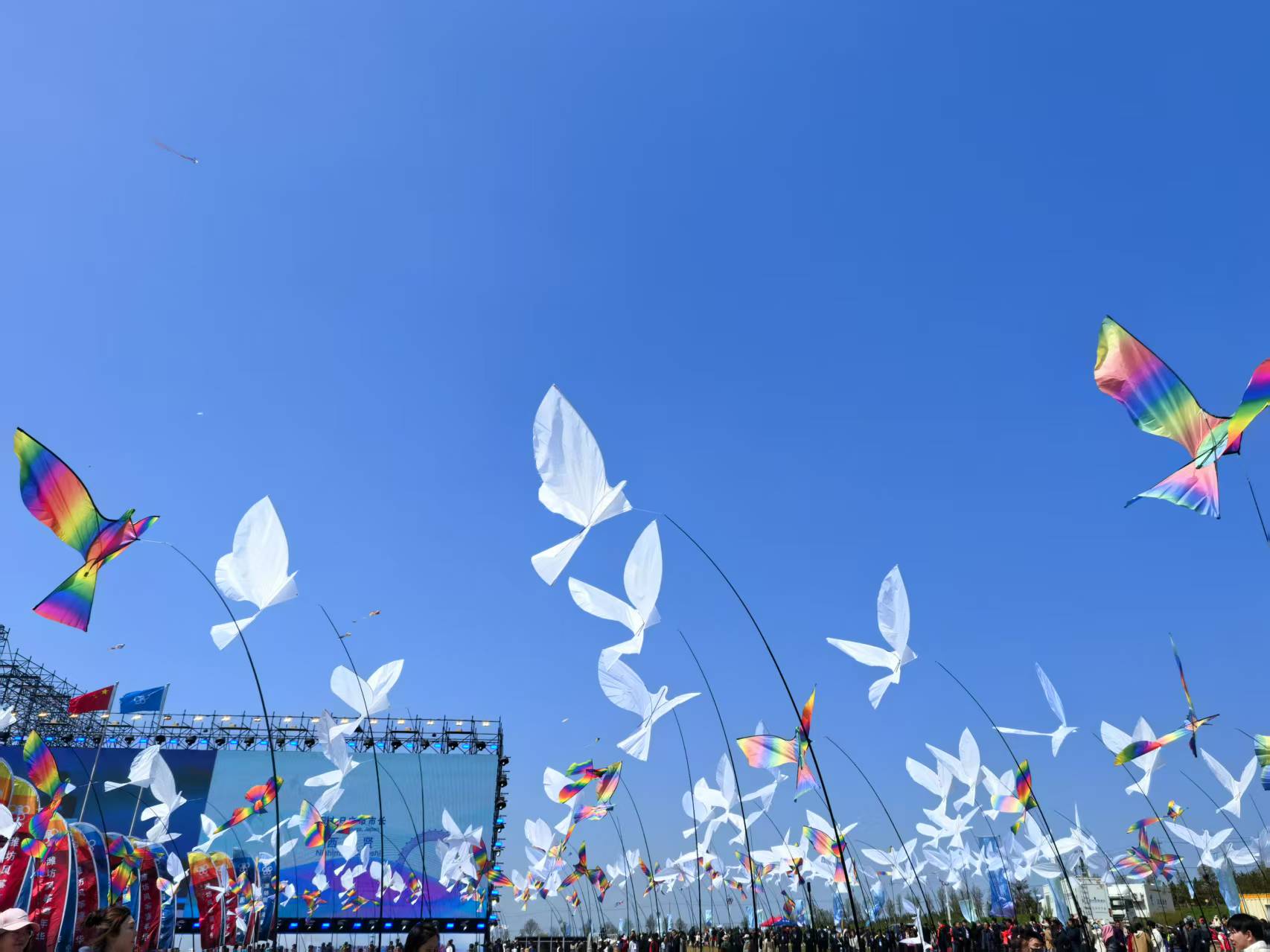 2025“春游齐鲁”服务消费季、第42届潍坊国际风筝会暨2025潍坊风筝嘉年华盛大开幕