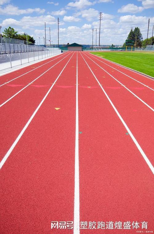 塑胶跑道材料分类解析助你选购更合适的产品(图2)