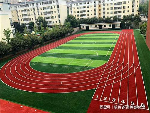 塑胶跑道材料分类解析助你选购更合适的产品(图3)