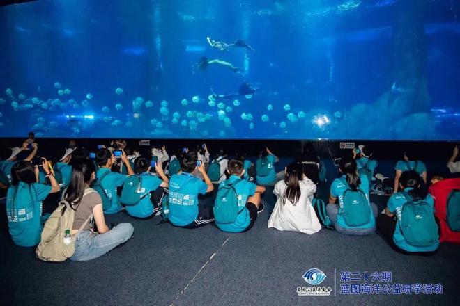 2024智搏体育年度回顾｜稳步扬帆不负期望！