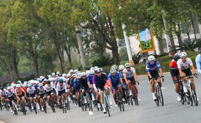 2024智搏体育年度回顾｜稳步扬帆不负期望！(图13)