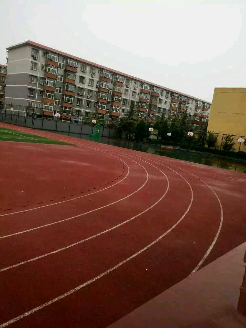 塑胶跑道厂家-塑胶跑道批发(图2)