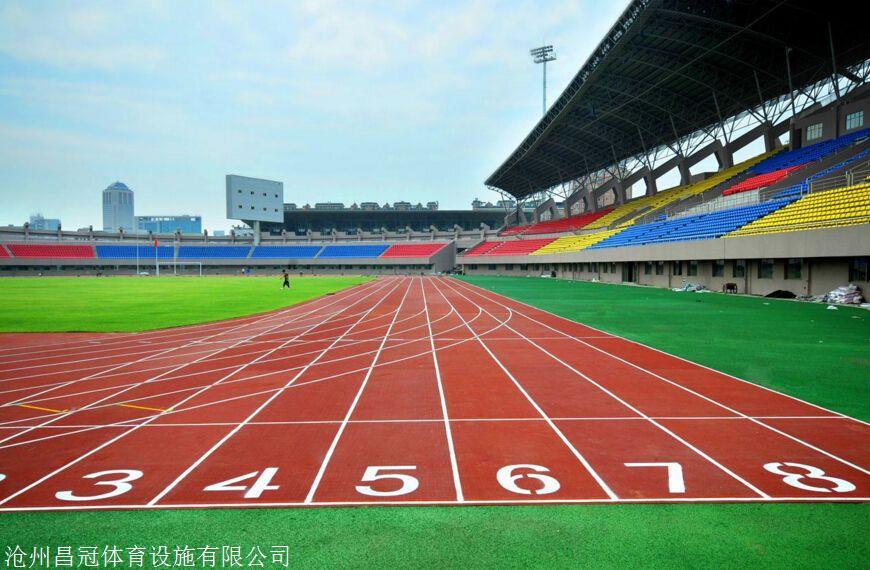 塑胶跑道价格生产厂家-搜了网(图2)