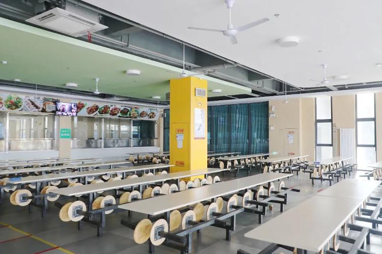 潍坊天立学校助你拼出多元未来！(图17)