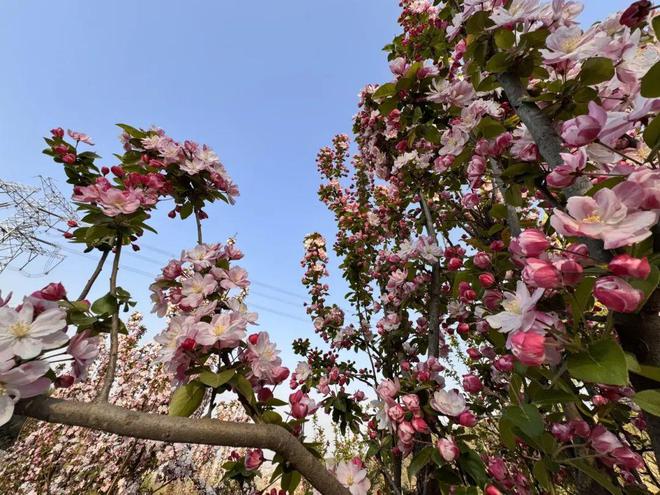 网红大滑梯、攀岩墙！京西这个郊野大公园人少景美还免费！(图4)