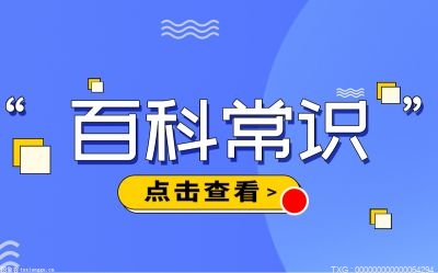 攀岩需要哪些装备？室内攀岩的保护装备有哪些？(图1)