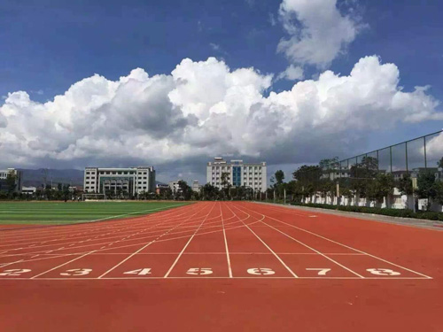 塑胶跑道厂家施工(图1)