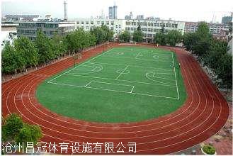 体育场塑胶跑道价格厂家-搜了网(图1)