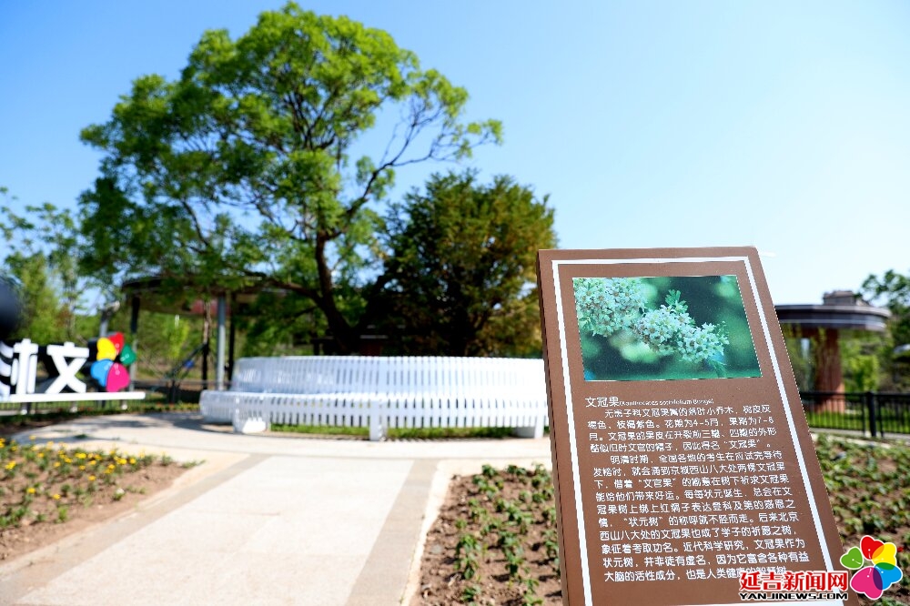 文杉园亮相延吉再添亲子运动新空间(图2)