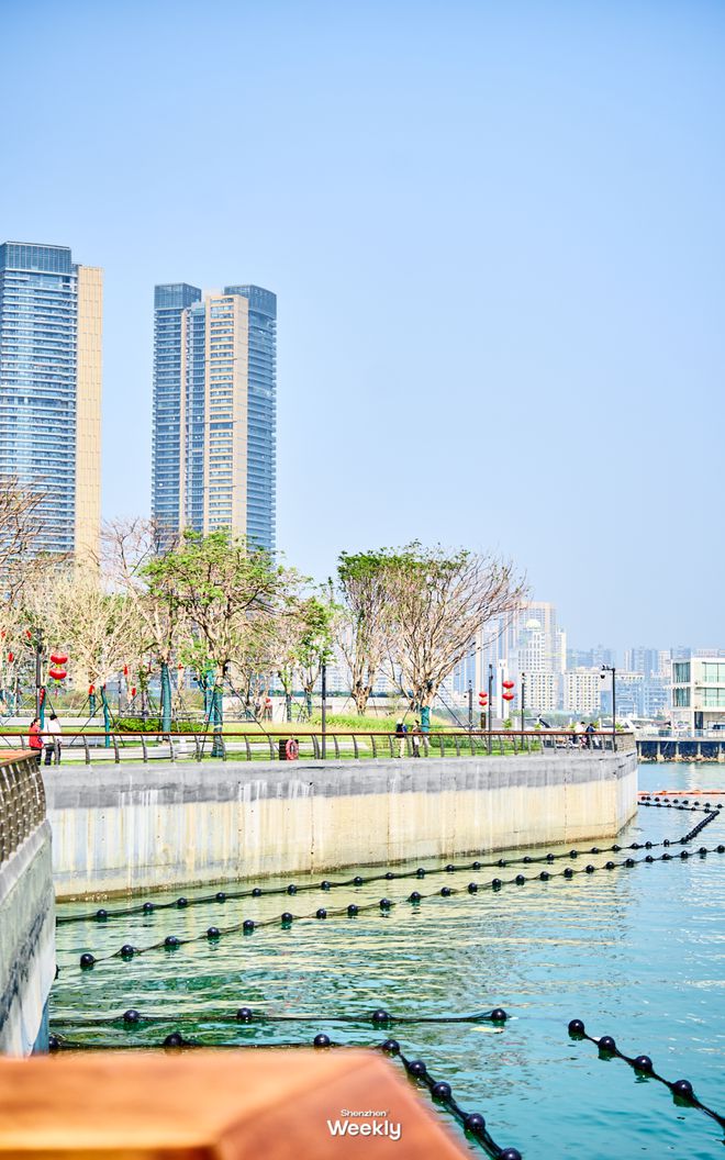 我敢说！这是全深圳人最少的「海滨公园」(图12)