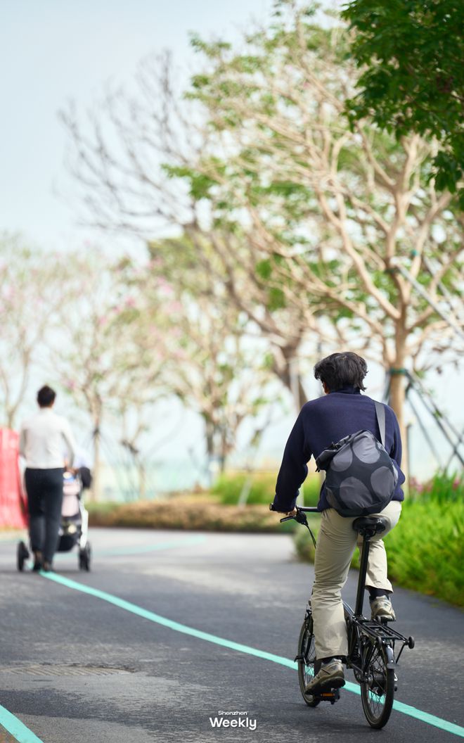 我敢说！这是全深圳人最少的「海滨公园」(图8)