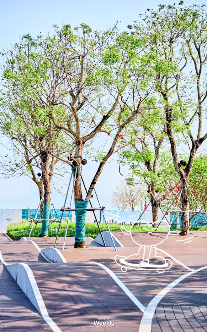 我敢说！这是全深圳人最少的「海滨公园」(图25)