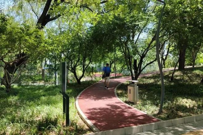 骑行+跑步指南！海淀这几条绝美路线不能错过(图6)