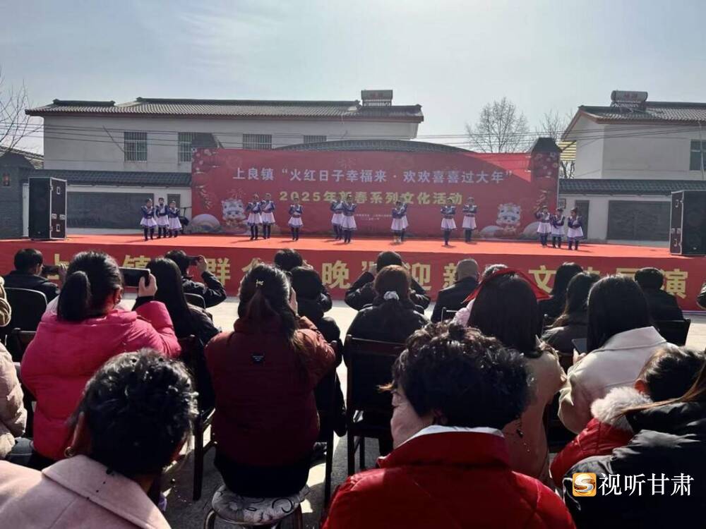 平凉灵台：“村字头”文化绽放光彩乡村游活力无限(图5)