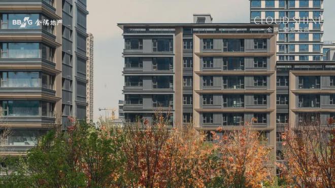 公道中学跑道拆除工程为何引发热议？变化背后的真相是什么？(图4)