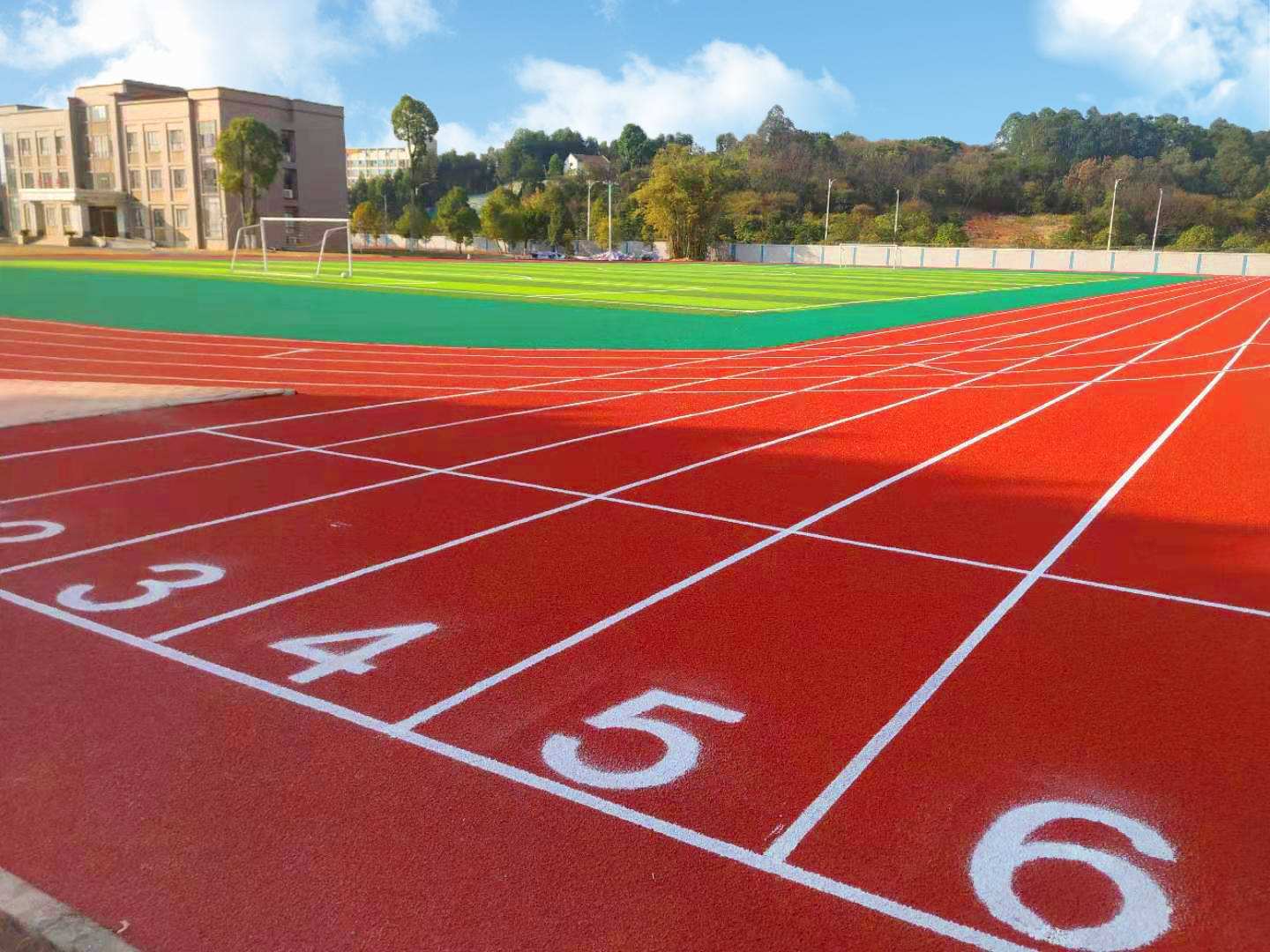 塑胶跑道有哪些类型？塑胶跑道种类区别(图1)