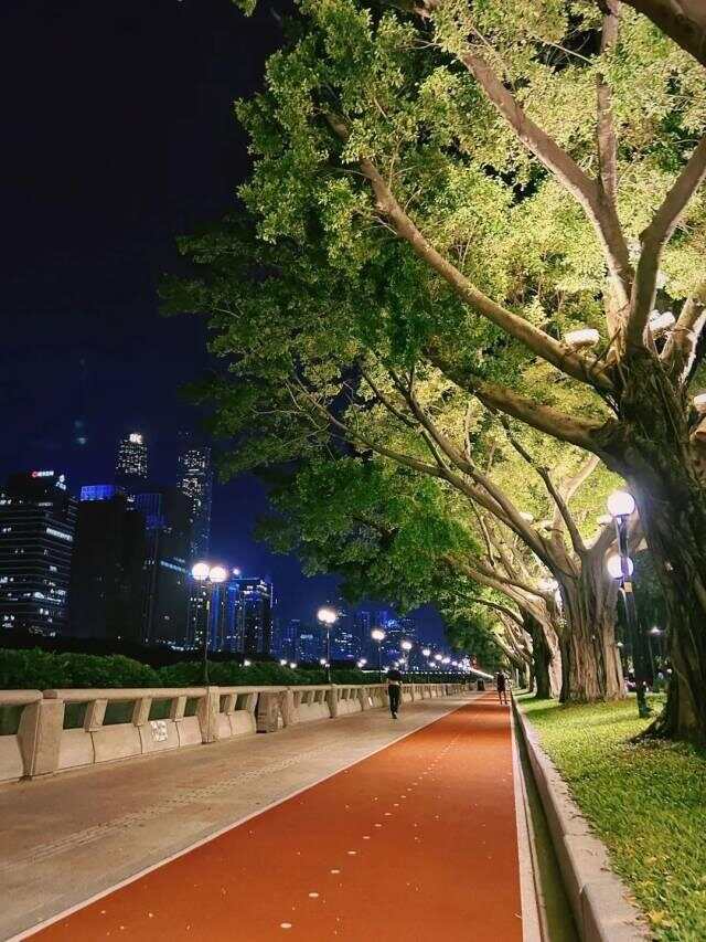 羊城朝你比个“夜”！五种广式新生活天黑才能享受(图8)