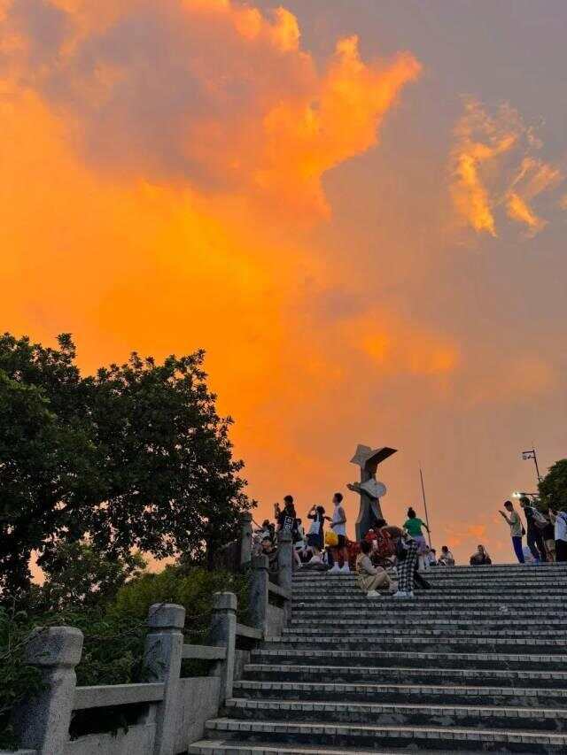 羊城朝你比个“夜”！五种广式新生活天黑才能享受(图16)