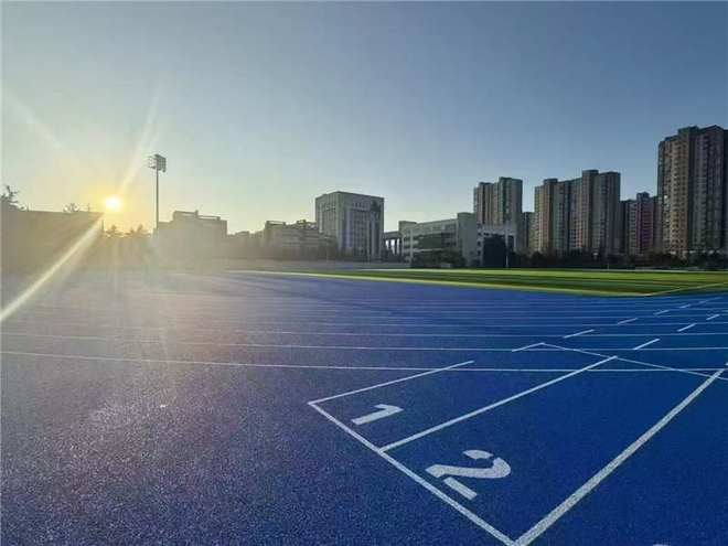 2025塑胶跑道厂家选哪家？玉峰体育场地解决方案及售后全保障
