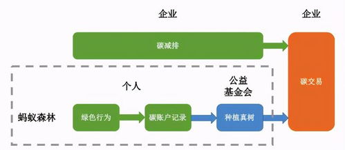 新疆玩什么项目比较赚钱(图1)