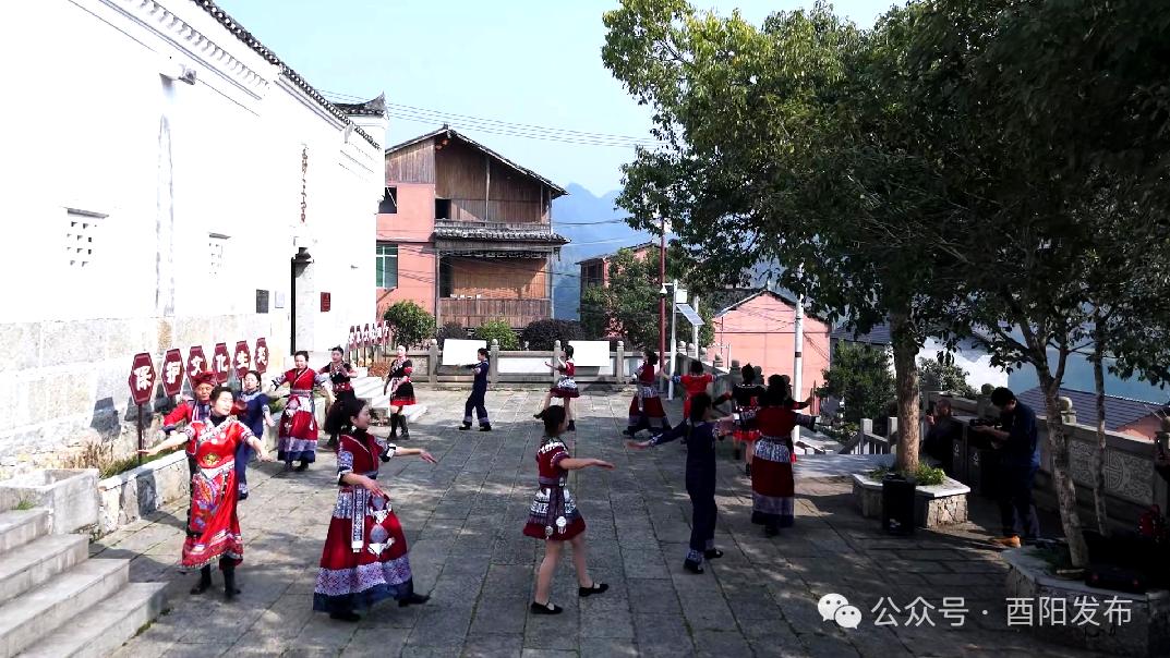 酉深度丨民族团结之花在酉阳绽放(图2)