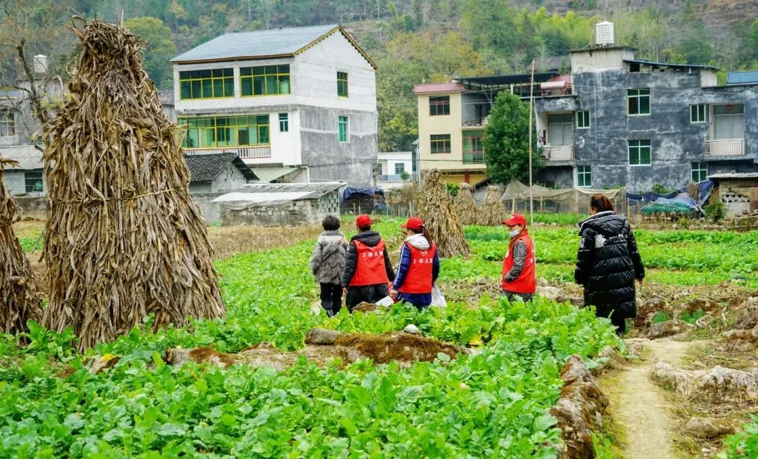 酉深度丨民族团结之花在酉阳绽放(图6)