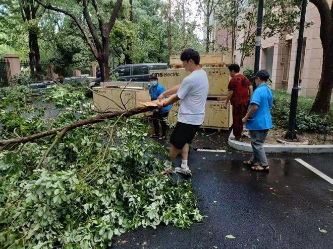 啥情况？杭州有市民在操场上跑着跑着居然出现三个洞(图4)