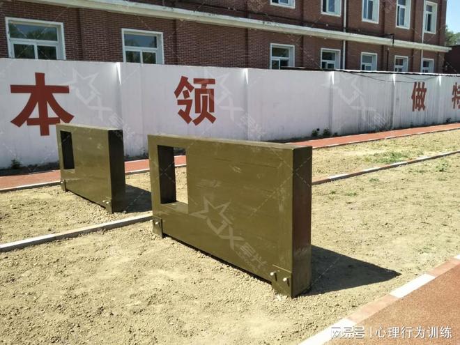 部队训练器材白皮书：军兴体育设备生产厂家的技术创新与实战赋能(图1)