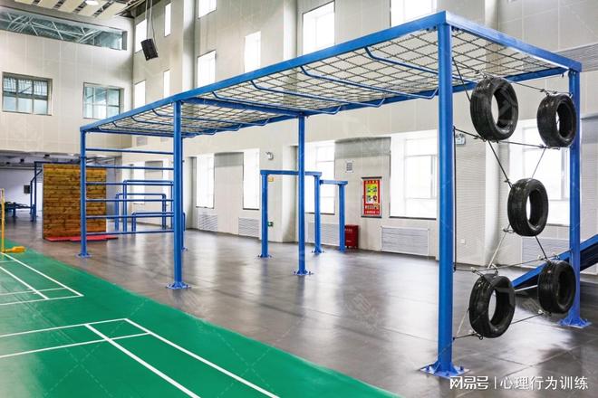 部队训练器材白皮书：军兴体育设备生产厂家的技术创新与实战赋能(图3)