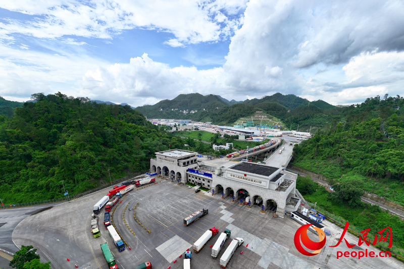 “桂”在敢闯“码”向未来(图4)