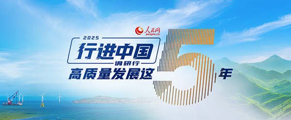 “桂”在敢闯“码”向未来(图7)