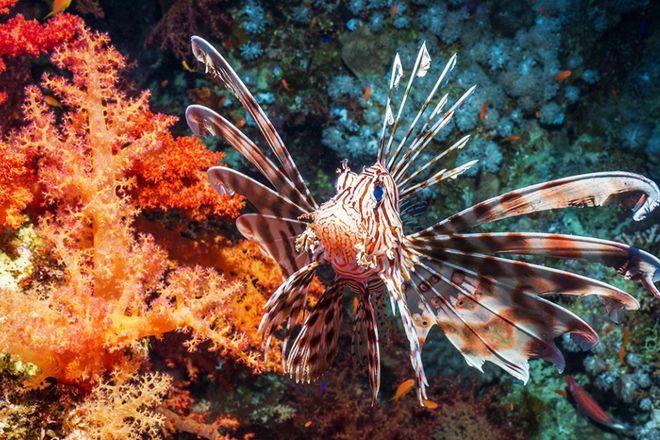 和P人最配的旅行目的地其实是沙特(图3)