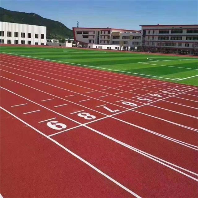 什么是混合型塑胶跑道(图2)