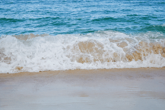 从“滨海门户”到“国际客厅”！盐田国际化城区的进阶之路(图10)