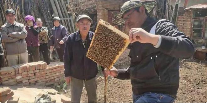 发现之旅：2025·美丽中国行走进段家堡乡黄家楼村(图3)